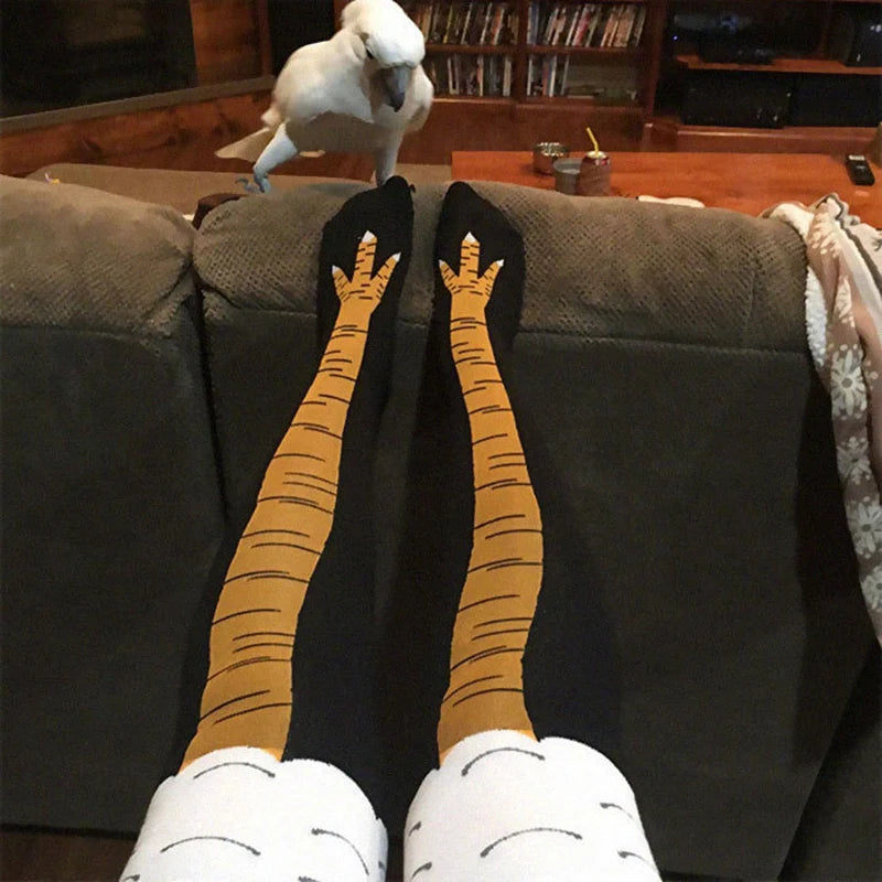 Calcetín / socks pollo