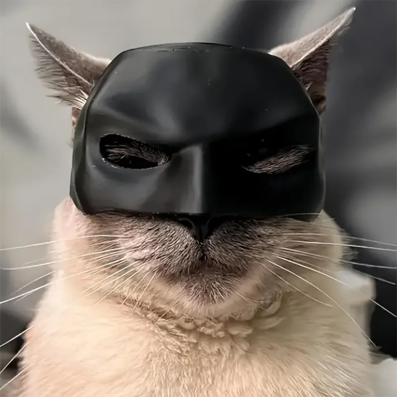 Mascara gato batman