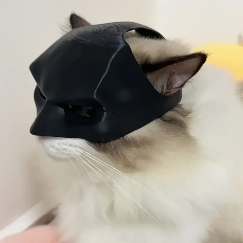 Mascara gato batman